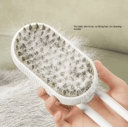 2-in-1 Steam Grooming & Massage Brush