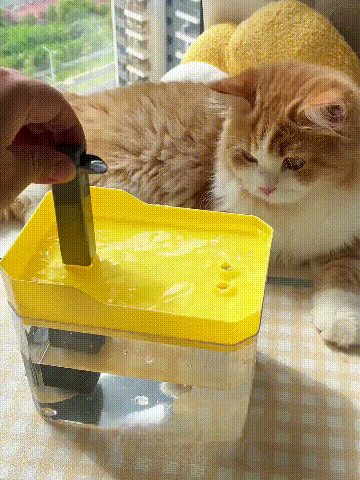 🔥💧Automatic Pet Water Fountain🐶😻
